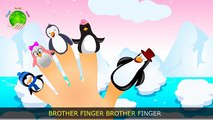 Finger Family - Penguin | + More Nursery Rhymes & Kids Songs - ABCkidTV