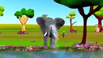 ELEPHANT Finger Family Rhymes For Babies | Animal Nursery Rhymes | My Finger Family Rhymes