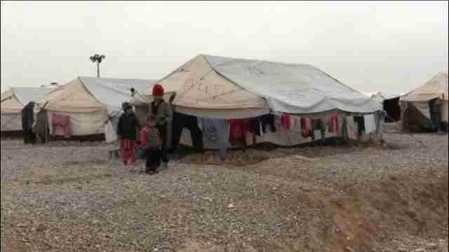 Fuerzas iraquíes controlan el 50 % del oeste de Mosul y 100.000 civiles huyen
