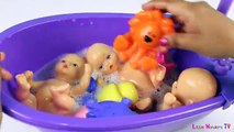 3 Baby Dolls Bathtime and Dress Up - Baby Doll Bathtime
