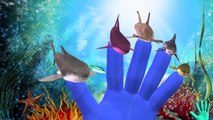 Megalodon Shark Attack Finger Family Nursery Rhymes For Kids - Learn Sea Animals Names 3D