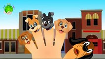 Bingo Dog Finger Family | English Nursery Rhymes for Kids
