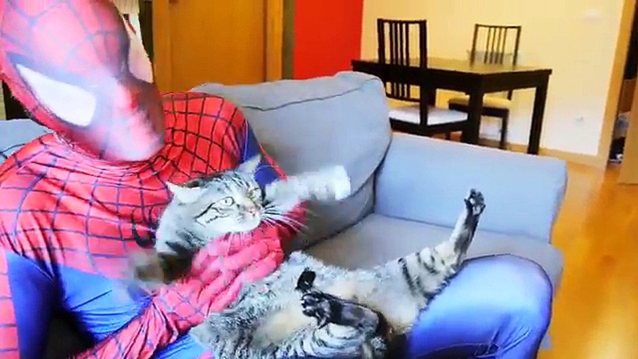 Spiderman Loses His Mask! w/ Frozen Elsa, Pink Spidergirl, Color Vomit & Joker! Funny Supe