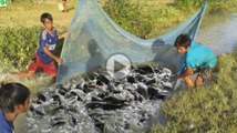 Amazing Net Fishing - 3 Children Catch a Lot Of Fish in Canal - Khmer Cast Net Fishing 2016