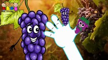Baby Rhymes   Grapes Family Finger Songs   Finger vgs