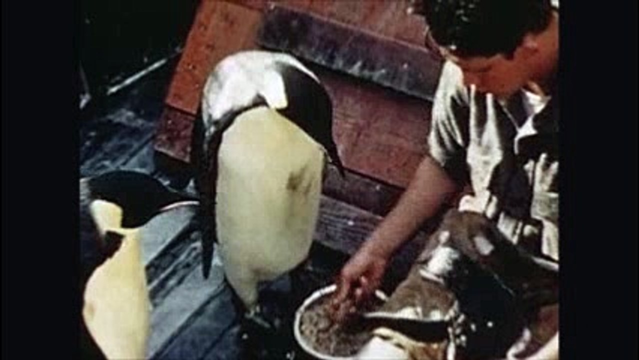 admiral byrd's antartic expedition pt2