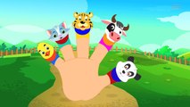 Animals Finger Family | Nursery Rhymes Song For Babies | 3D Rhyme Childrens Video