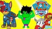 #PAWPATROL RYDER Avengers SPIDERMAN IRONMAN | Painting Outfits #Animation For Kids & Toddl