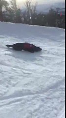Un chien d’avalanche se fait un kif en descendant une piste de ski