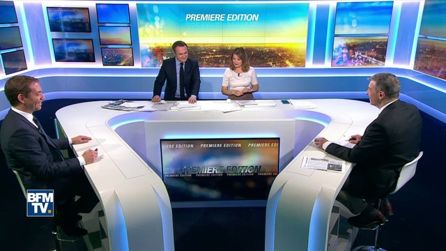 La naissance rare d'un lamantin au Zooparc de Beauval