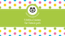 Biblical names for female pets - the best names for your pet - www.namesoftheworld.net