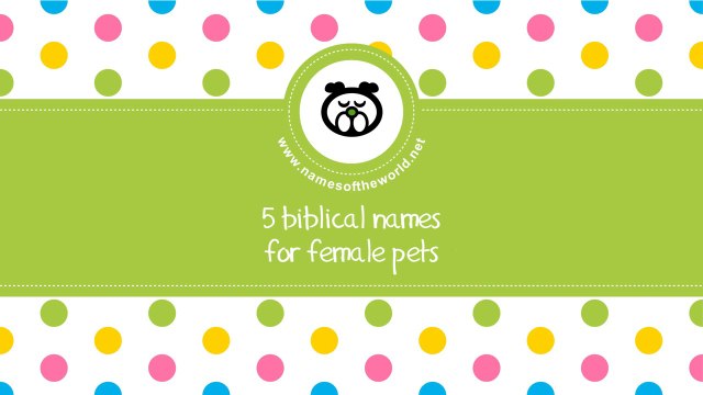 Biblical names for female pets - the best names for your pet - namesoftheworld.net