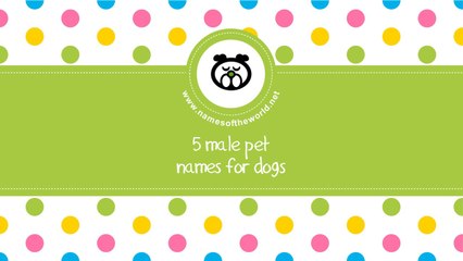 Male pet names for dogs - www.namesoftheworld.net