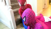 SPIDERMAN vs ATAQUE de TIBURÓN y BROMISTA! w/ Rosa Spidergirl, Congelados Elsa Película de Superhéroes En la Real