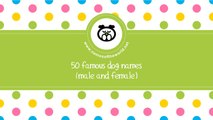50 famous dog names male and female - best dog names - www.namesoftheworld.net