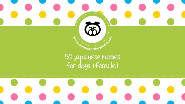 50 japanese names for female dogs - best dog names - namesoftheworld.net