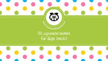 50 japanese names for male dogs -  best dog names - www.namesoftheworld.net