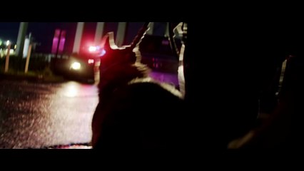 Cesar : Rewriting History