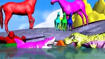Colours Dinosaurs Finger Family - Gorilla cartoon Finger Family Nursery Rhymes 3d Animatio