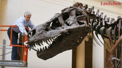 Quand les dinosaures envahissent les salles de ventes