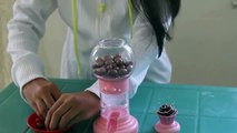 Chocolate Machine | Gumball Machine by Be Mine Bears - Kids Toy Teach Kids Colors, Counti