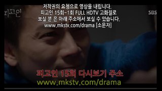 피고인 15회 170313