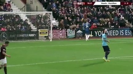 Ce fan de Heart of Midlothian se vautre en plein match... et devient une star du web