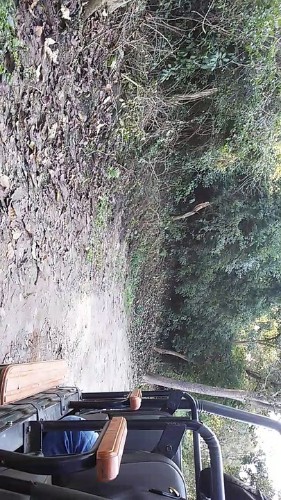 wildlife videos || tiger videos || Jim corbett national park || uttrakhand || india
