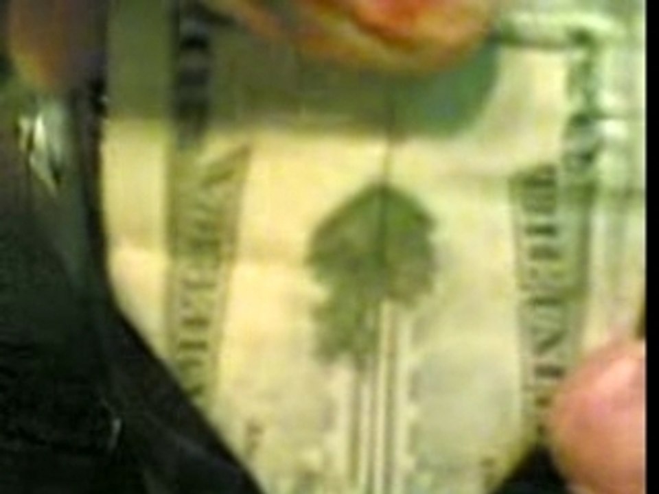 20 dollar