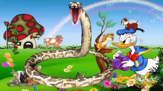 Dinosaur ABC Songs For Kids Learning Alphabets With Dinosaurs Dinosaurs Cartoons for Child