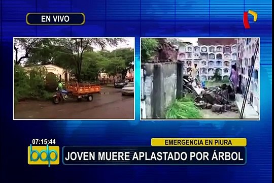 Emergencia en Piura: hombre muere al caer árbol tras constantes lluvias