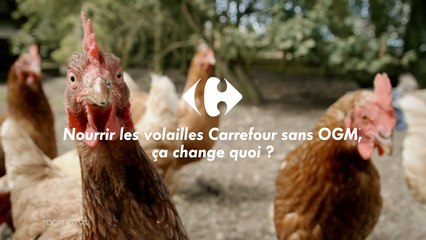 Publicis pour Carrefour - mars 2017