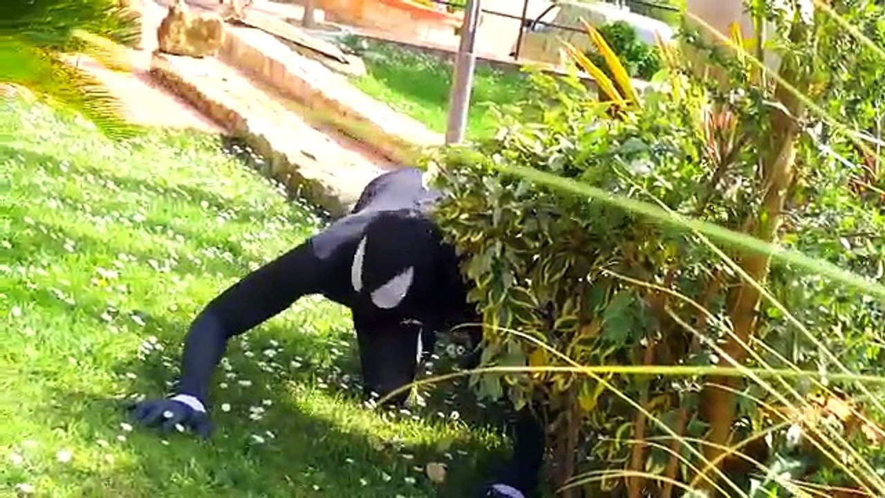 Superhero Compilation! Ariel meets Darth Vader vs Spiderman & Pink Spidergirl w/ Giant Gam