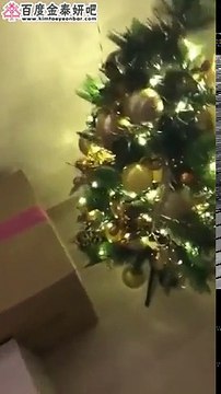 170309 太妍 - Instagram Live [中字]