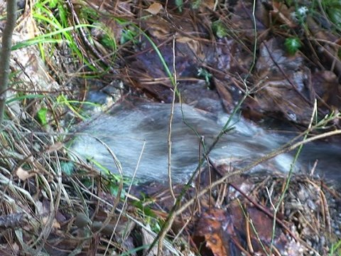 Belvédère de Côte Rouge 1043 m _ Maissenas -Roissard 38650