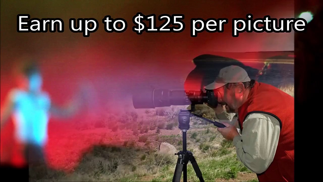 Freelance Photography Jobs From Home Uk ▸ Work At Home Job Immediate Start Minority Sports Vip