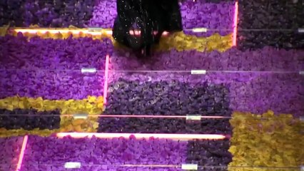 Versace Haute Full Show Couture Fall Winter 2017 Fashion