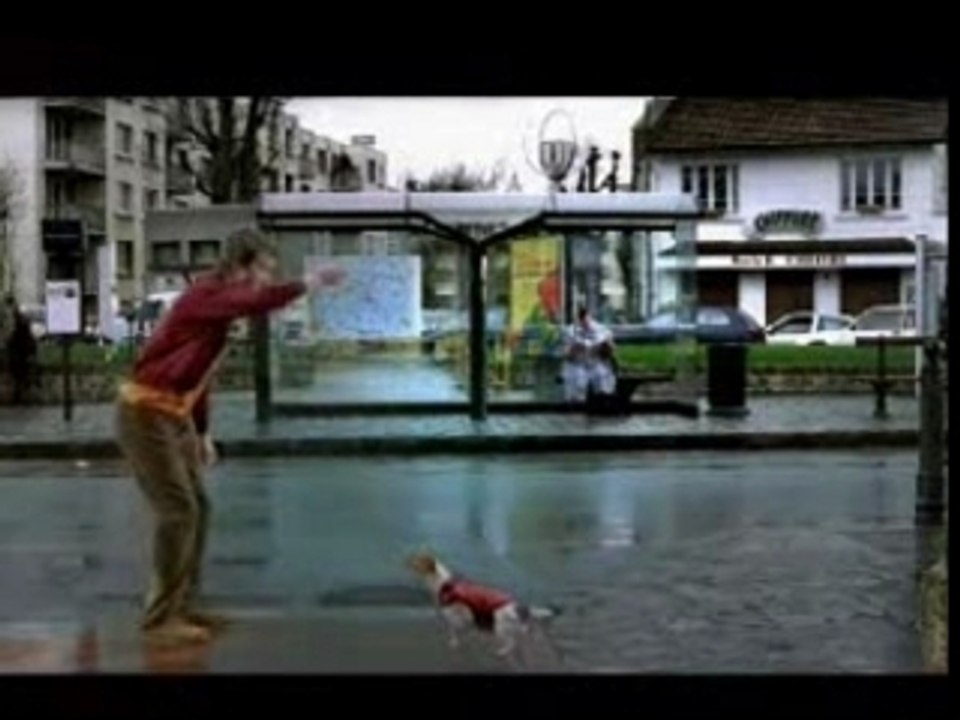 (Humour) Accident - dogfoot