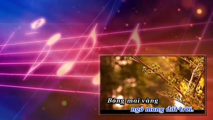 Lý Bông Mai - Như Quỳnh KOK