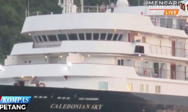 Terumbu Karang Raja Ampat Rusak Akibat Kapal Kandas