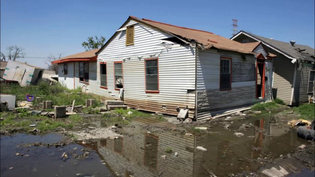 Alpha Remediation - (281) 204-2219