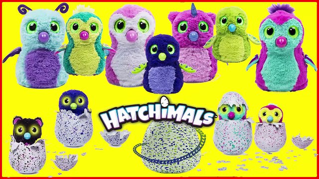 Hatchimals Toy Review | Real Surprise Egg Toy | Magical Surprise Egg | Kids Opening Eggs