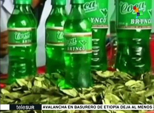 Europa voltea la mirada a la hoja de coca boliviana