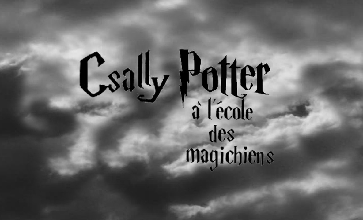Les Histoire de Csali 6 : Csally Potter  à l'école des magichiens