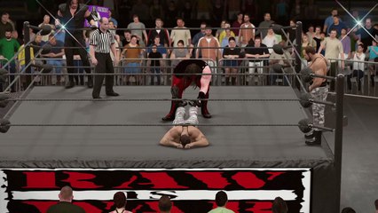 WWE 2K17 the bros of destruction v the bushwhackers