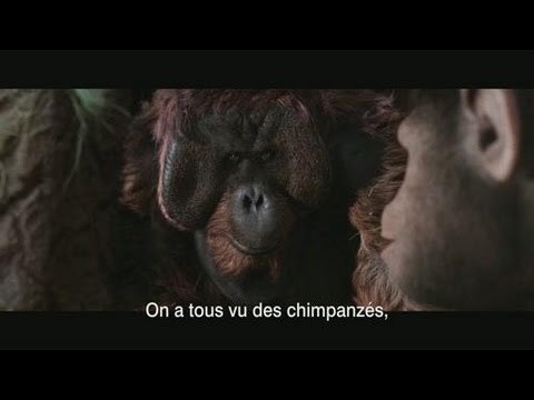 La Planete des Singes 2011 : les origines. Le making-of SFX de Weta