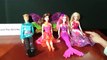 Barbie - Princess Alexas Party . Guests: Romy the mermaid, Nori the fairy and prince Kier