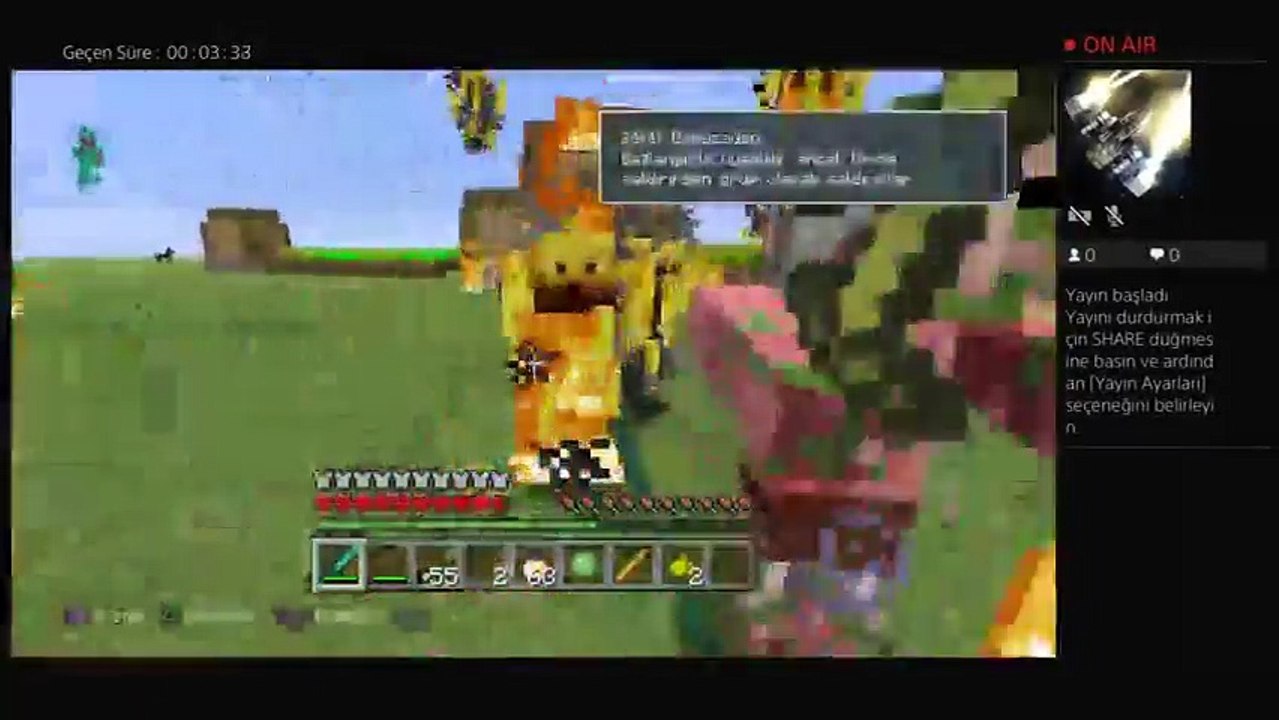 minecraft (2)