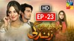 Choti Si Zindagi Episode 23 Promo Full HD HUM TV Drama 13 March 2017