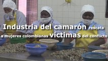 Industria del camarón rescata a mujeres colombianas víctimas del conflicto armado